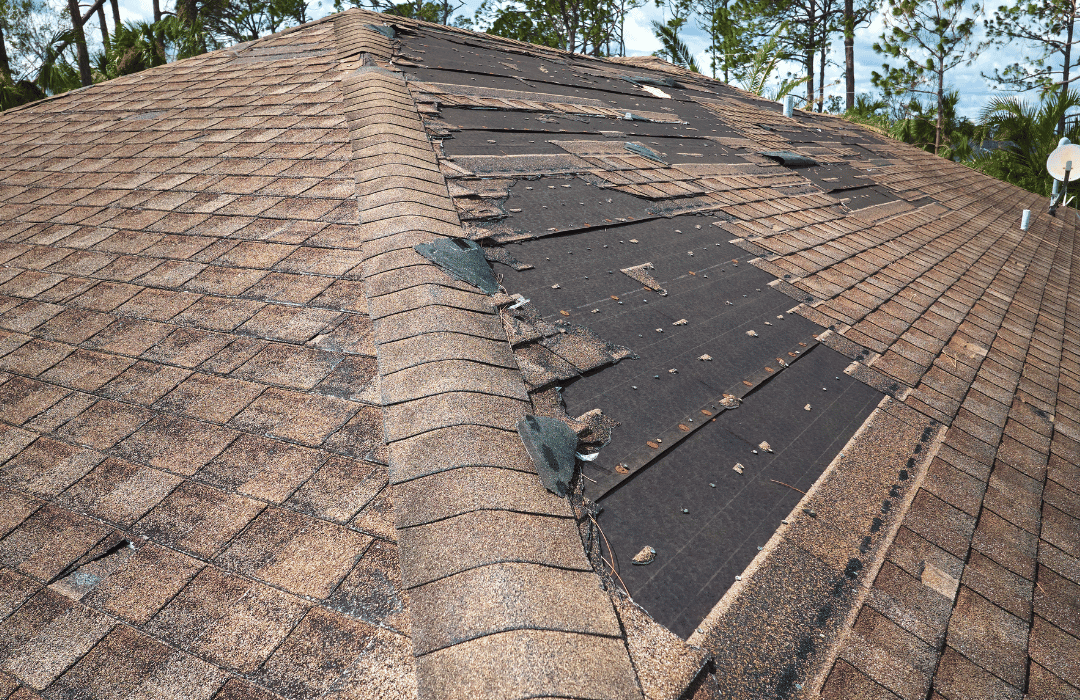Emergency storm damage repair in Chichester